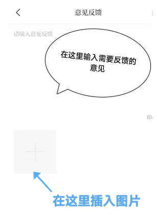 掌上成县App意见反馈