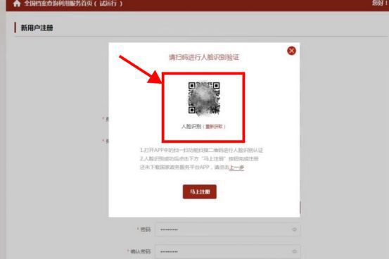 全国档案查询利用服务平台查档指引