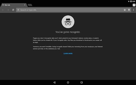 Chrome Dev安卓版版本特性