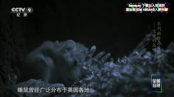 晶奥直播TV版下载