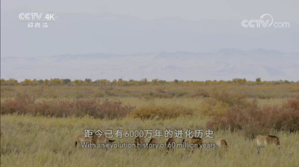 悟心影视盒子app官方简介
