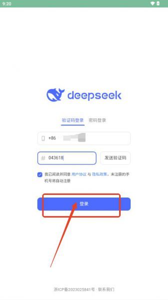 DeepSeek如何使用?
