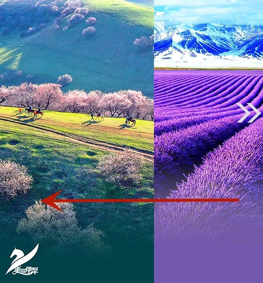 美丽伊犁App使用注册