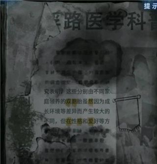 纸嫁衣8千子树第一章攻略