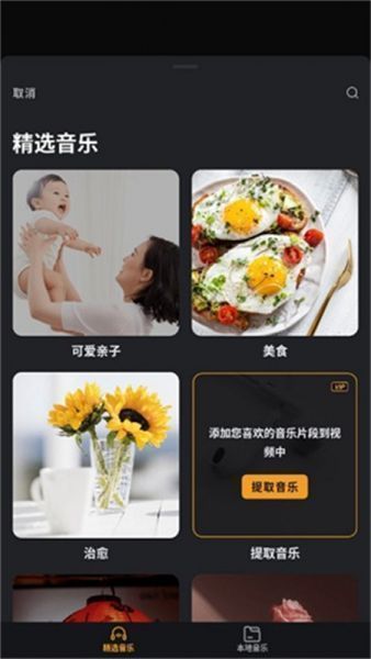 VivaVideo国际版使用教程