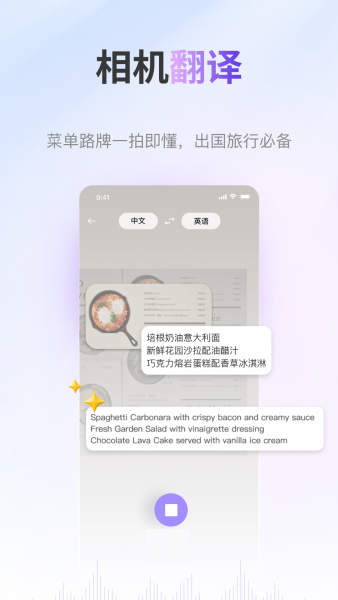 ViiTor实时翻译下载官方