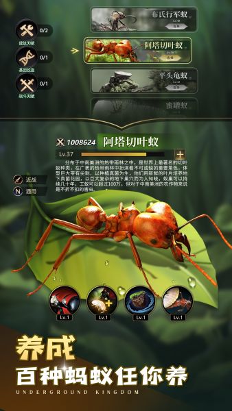 小小蚁国37官方下载