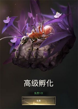 小小蚁国提升攻略