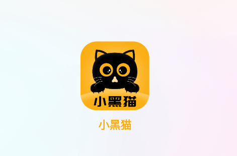 小黑猫