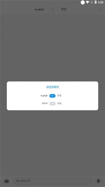 Nur输入法App翻译方式