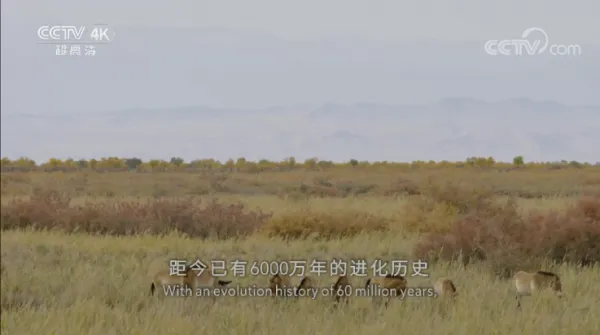 悟心影视盒子app官方简介 悟心影视盒子app官方简介