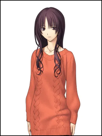 魔法使之夜游戏角色 魔法使之夜游戏角色