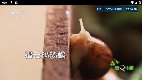 猫TV影视美刷版下载官方