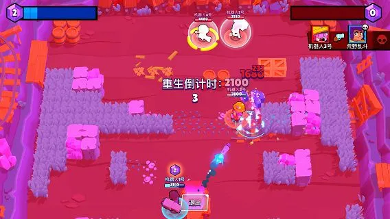 荒野乱斗最强搭配