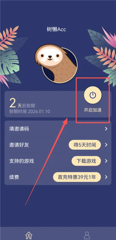 树懒Acc正版加速教程