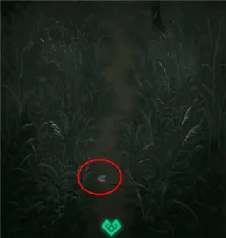 纸嫁衣1游戏攻略 纸嫁衣1游戏攻略