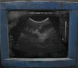 纸嫁衣8千子树第一章攻略 纸嫁衣8千子树第一章攻略