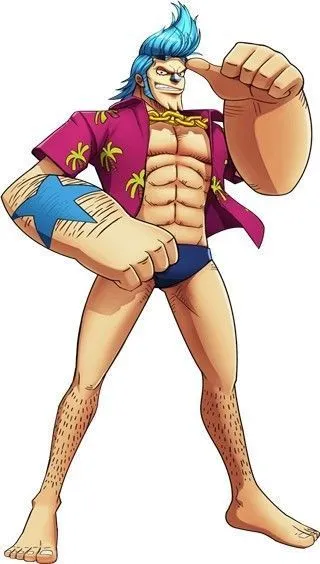 航海王燃烧意志角色介绍