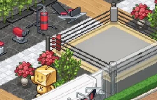 摔跤擂台物语布局攻略 摔跤擂台物语布局攻略