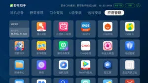 野草助手电视版APP使用说明 野草助手电视版APP使用说明