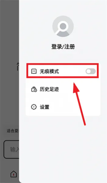 Tizzy.ai开启无痕模式方法