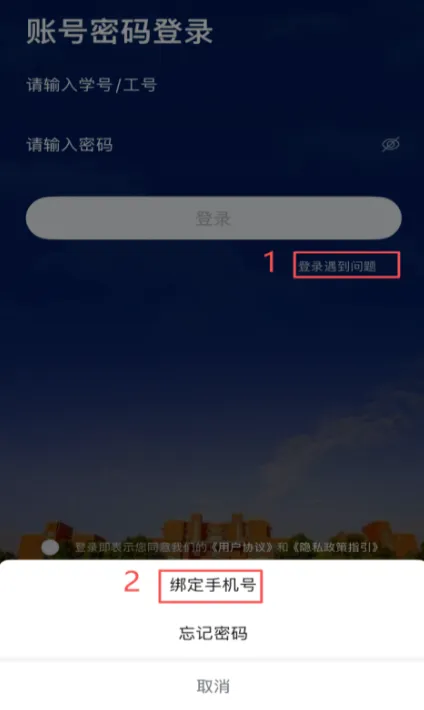 豫见郑大app使用教程 豫见郑大app使用教程