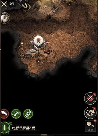 小小蚁国提升攻略