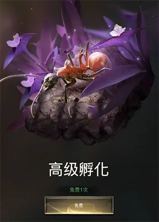 小小蚁国提升攻略