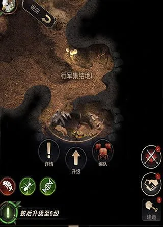 小小蚁国提升攻略