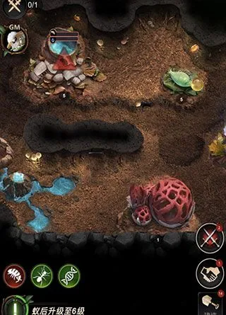 小小蚁国提升攻略