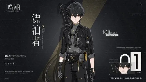 鸣潮国际服游戏角色