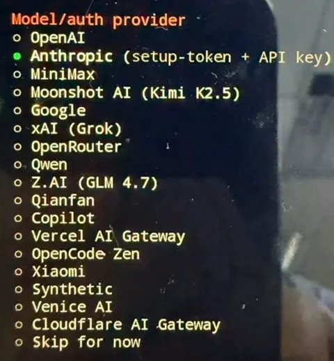 OpenClaw App使用教程