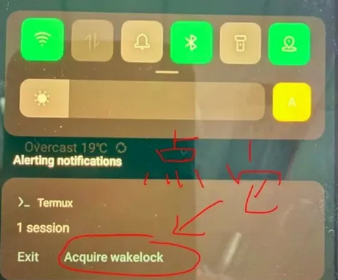 OpenClaw App使用教程