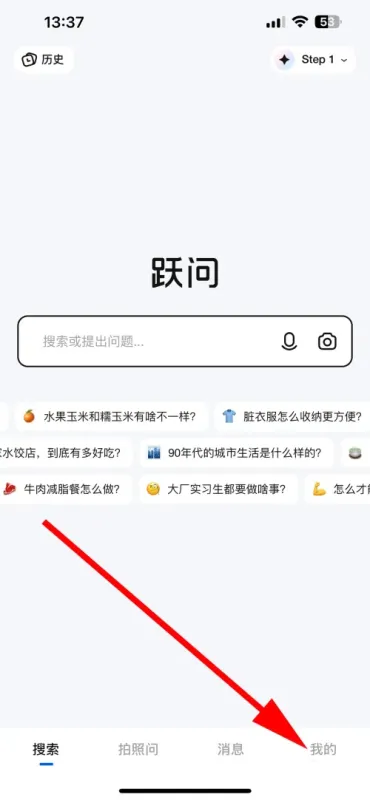 阶跃AI App设置偏好 阶跃AI App设置偏好
