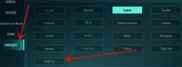 远光84国际服中文设置