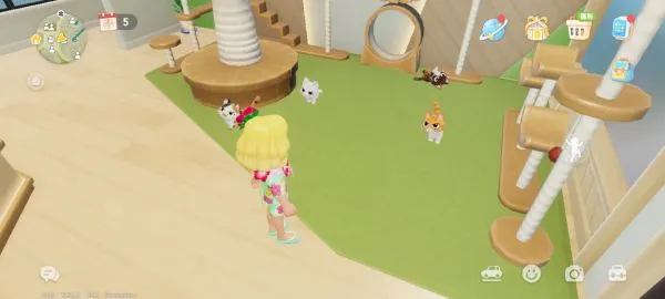 心动小镇国际服新手入门