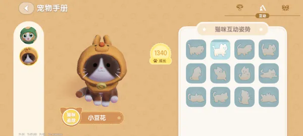 心动小镇国际服新手入门