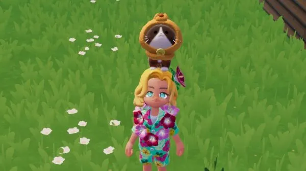 心动小镇国际服新手入门