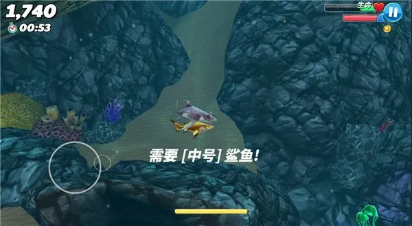 饥饿鲨世界新手攻略