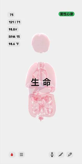 中文设置全流程：手把手切换简体中文界面