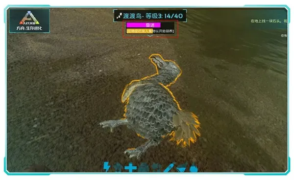 手把手教学:移动端高效驯龙全流程 手把手教学:移动端高效驯龙全流程