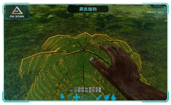 手把手教学:移动端高效驯龙全流程 手把手教学:移动端高效驯龙全流程