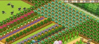 📐 布局攻略：让每一块像素都算数