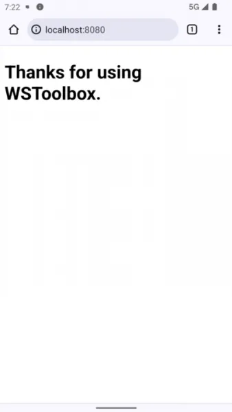 WSToolbox官方下载