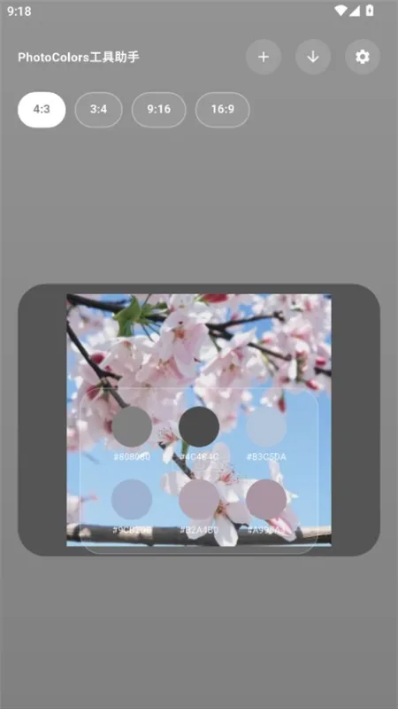 PhotoColors App 如何开启颜色代码显示