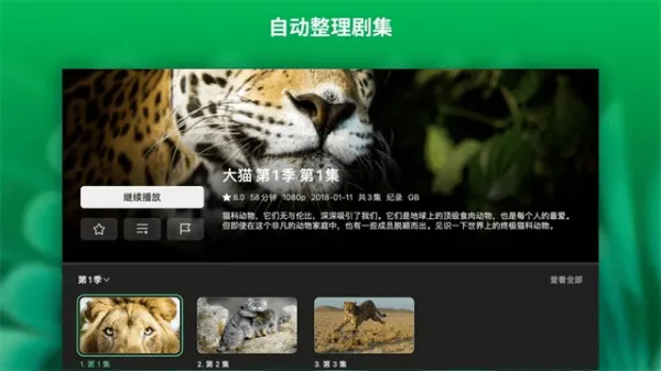 VidHub安卓TV客户端