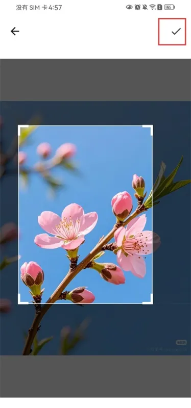 豆纸App