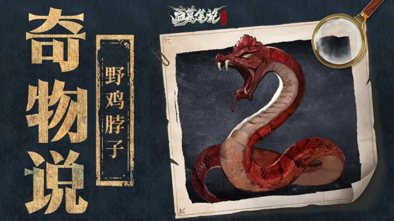 奇物介绍3