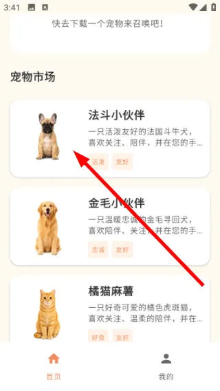 空鱼桌面宠物怎么下载桌面宠物配图1