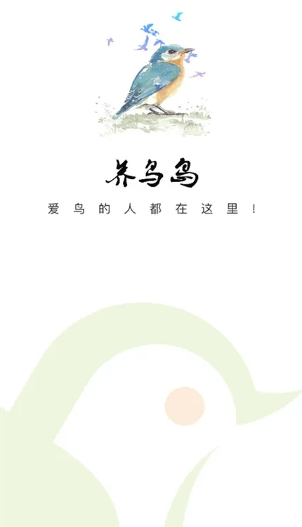 养鸟岛宣传图